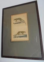 1837 originele Litho Kinkajou (rolstaartbeer) Burggraaff (Bk, Ophalen