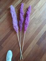 Pluimen 3 stuks, paars, Ophalen of Verzenden