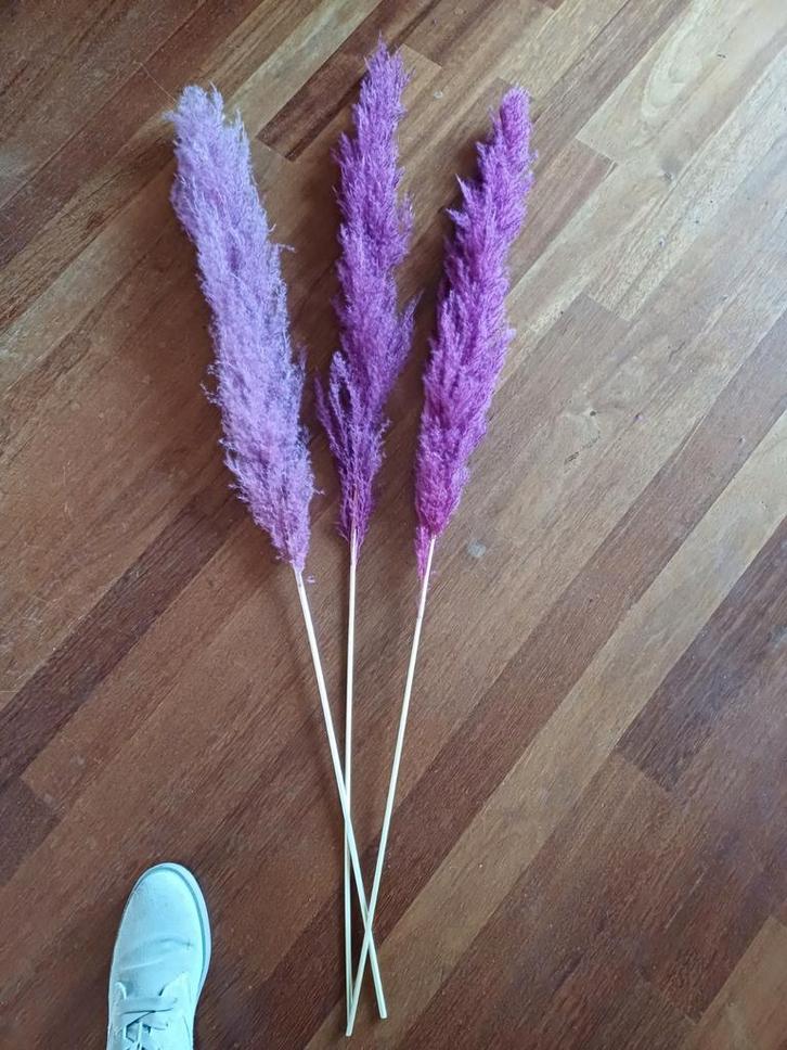 Pluimen 3 stuks, paars, Huis en Inrichting, Woonaccessoires | Droogbloemen, Ophalen of Verzenden