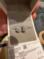 Diamanten Oorbellen met IGI certificaat!, Nieuw, Ophalen of Verzenden, Met edelsteen, Knopjes of Stekers