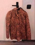 Warme Gevoerde Winterjas Met Capuchon. Meisje. 176. Zgan., Meisje, Ophalen of Verzenden, Zo goed als nieuw, Cars jeans
