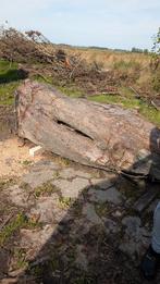 Kastanje Haardhout / brandhout, Tuin en Terras, Haardhout, Minder dan 3 m³, Ophalen, Overige houtsoorten
