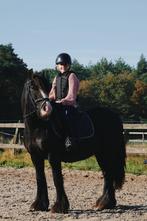 Hele lieve 7 jarige tinker merrie, Dieren en Toebehoren, Pony's, Merrie, B, C pony (1.27m tot 1.37m), 7 tot 10 jaar