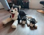 Grote Husky Knuffel met Baby's, Ophalen of Verzenden, Zo goed als nieuw, Hond
