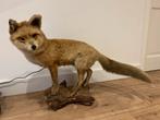 Prachtige vos, Ophalen of Verzenden, Zo goed als nieuw, Beeldje of Figuurtje
