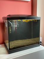 Superfish Start 50 Tropical 45 liter aquarium voor garnalen, Dieren en Toebehoren, Ophalen, Gebruikt, Leeg aquarium