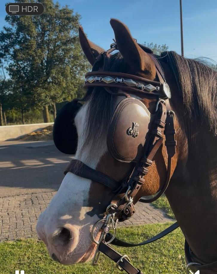Van der Wiel enkelspan tuigen, Dieren en Toebehoren, Paarden en Pony's | Hoofdstellen en Tuigage, Zo goed als nieuw, Overige soorten