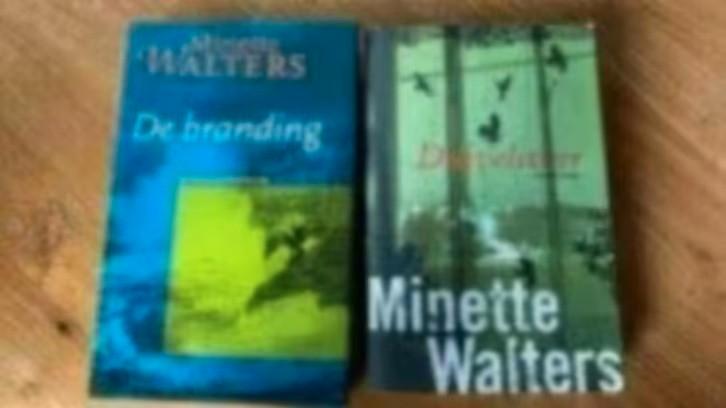 2 boeken Minette Walters. Duivelsveer /de branding, Boeken, Thrillers, Gelezen, Ophalen of Verzenden