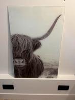 Schilderij van een bizon, Ophalen of Verzenden, Zo goed als nieuw, Schilderij, 50 tot 75 cm