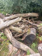 Te koop brandhout openhaard hout cica 5m2 populier, Tuin en Terras, Haardhout, 3 tot 6 m³, Ophalen, Overige houtsoorten, Blokken