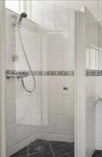 Glazen Douchedeur 74x186cm - Compleet!, Huis en Inrichting, Ophalen, Gebruikt, Overige typen, 50 tot 100 cm