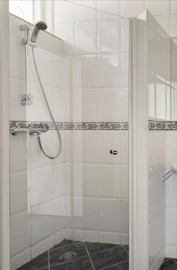 Glazen Douchedeur 74x186cm - Compleet! beschikbaar voor biedingen