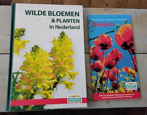 Wilde bloemen & planten in Nederland + Veldgids (nieuw), Boeken, Natuur, Nieuw, Bloemen, Planten en Bomen, Ophalen of Verzenden