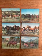 Oude paarden 3D ansichtkaarten - Set van 6, Verzamelen, Ophalen of Verzenden, 1960 tot 1980, Gelopen, Overig Europa