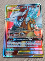 Zeldzame Pokémonkaarten + Munt & V Star Beeldje, Ophalen of Verzenden, Gebruikt, Meerdere kaarten, Foil