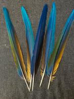 Ara staartveren, Verzenden, Zo goed als nieuw