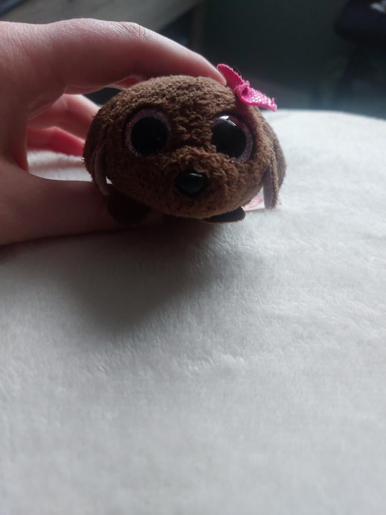 Schattige Ty Beany Meggie Hond Knuffel, Ophalen, Zo goed als nieuw, Hond