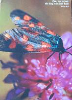 Spreuken - Zie, nu is het de dag van het heil - 1986, Verzenden, 1980 tot heden, Gelopen, Overige thema's