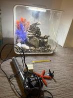 Biorb oase aquarium flow, Dieren en Toebehoren, Vissen | Aquaria en Toebehoren, Ophalen, Leeg aquarium