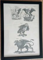 Leuke oude prent met vogel figuren 20e eeuw, Verzenden, 1960 tot 1980, Gebruikt