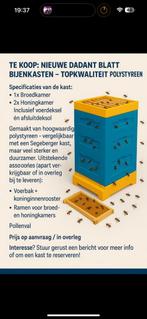 Nieuwe Dadant Blatt Bijenkast – Stevig & licht, Dieren en Toebehoren, Insecten en Spinnen, Bijen
