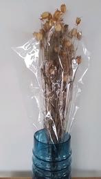 Bosje droogbloemen "juffertje in het groen", Ophalen of Verzenden, Zo goed als nieuw