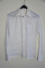 Mooie witte blouse Mario Rosella maat 38 - 40, Kleding | Dames, Maat 38/40 (M), Wit, Ophalen of Verzenden, Mario Rosella