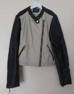 Dames jasje jack Cool Cat, Maat 38/40 (M), Beige, Ophalen of Verzenden, Zo goed als nieuw