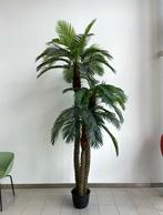 Partij Kunstplanten (los of als partij), Huis en Inrichting, Woonaccessoires | Kunstplanten en Kunstbloemen, Ophalen of Verzenden