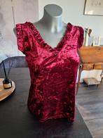 Nieuwe velvet top 1 maat 38 40 42, Kleding | Dames, Tops, Maat 38/40 (M), Nieuw, Ophalen of Verzenden, Your&Self