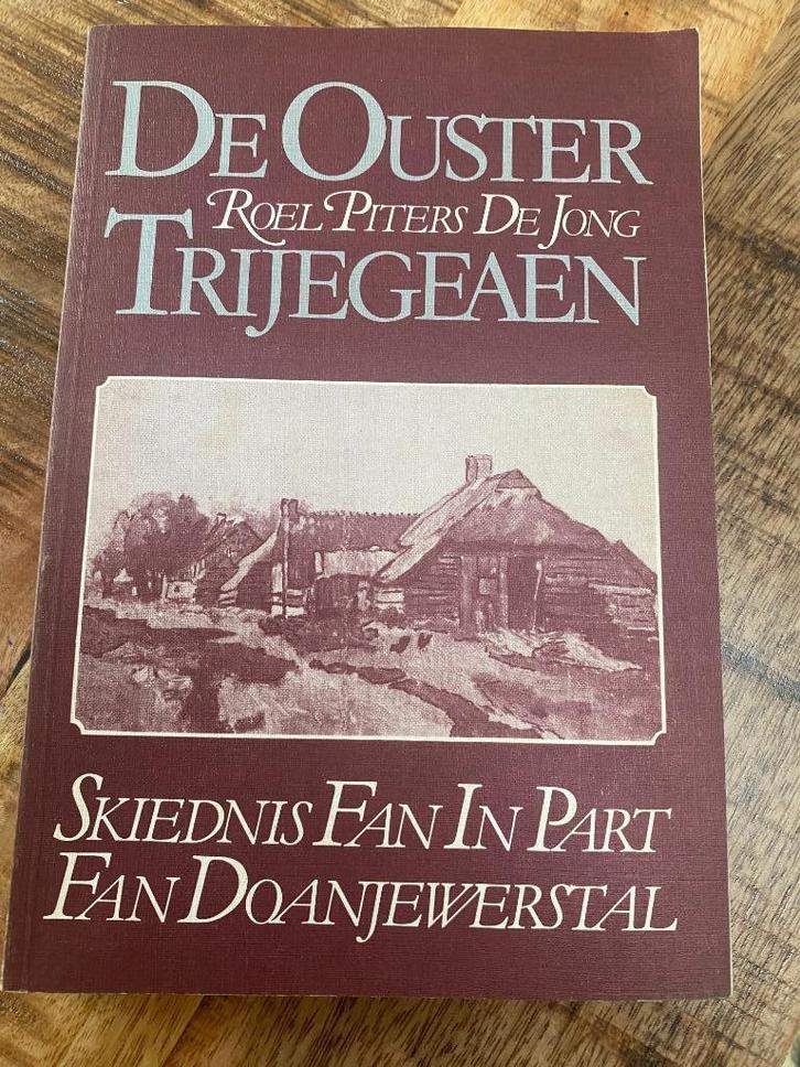 De Ouwster Trijegeaen - Joure Ouwsterhaule Ouwster Nijega, Boeken, Geschiedenis | Stad en Regio, Gelezen, 20e eeuw of later, Ophalen of Verzenden