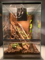 Terrarium, Dieren en Toebehoren, Reptielen en Amfibieën | Toebehoren, Ophalen of Verzenden, Gebruikt, Terrarium of Paludarium