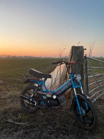 Opknap Tomos gezocht! beschikbaar voor biedingen