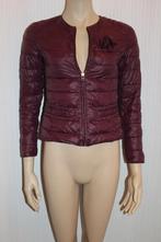 Kocca lichtgewicht jas paars gewatteerd maat XS, Paars, Kocca, Ophalen of Verzenden, Zo goed als nieuw