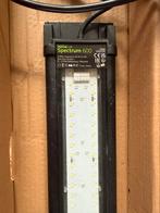 Juwel Helialux spectrum 600 met garantie, Dieren en Toebehoren, Ophalen, Zo goed als nieuw, Verlichting of Verwarming