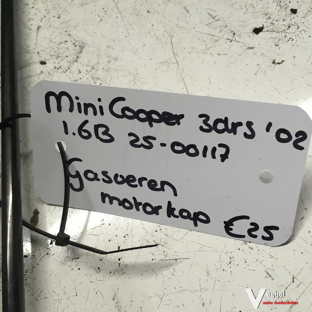 Mini Cooper 2003 1.6B 2500117  Gasveren set voor