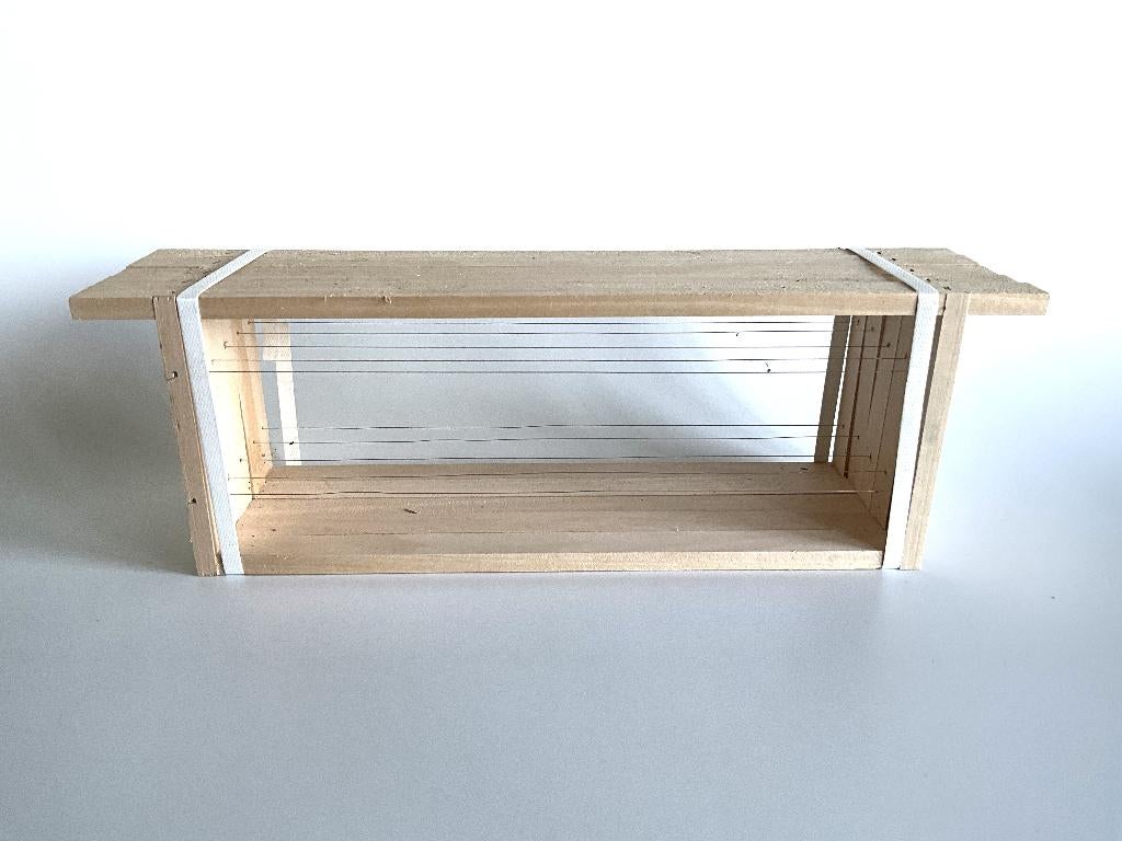 Nieuwe ramen voor de bijenkast met/zonder kunstraat, Bijen