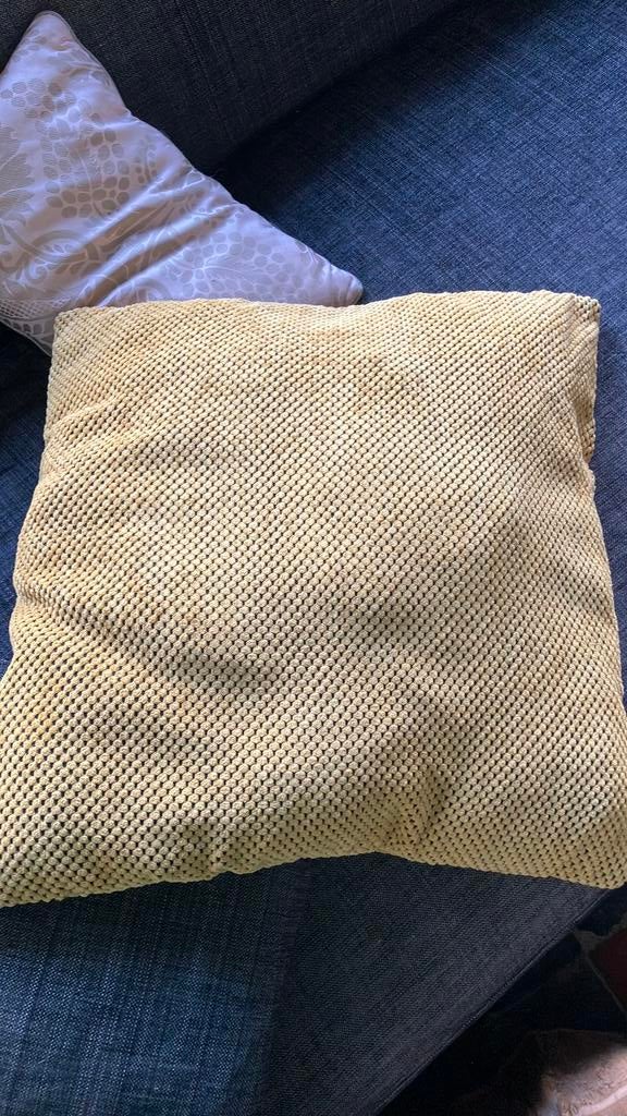 Kussen, Ophalen of Verzenden, Zo goed als nieuw, Vierkant