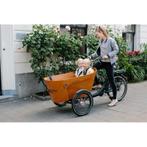 ## NIEUW BABBOE FLOW MOUNTAIN ##, Fietsen en Brommers, Fietsen | Bakfietsen, Ophalen of Verzenden, Nieuw, 1 kind