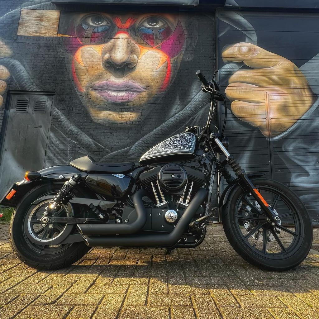 Harley-Davidson Sportster Iron 1200 (XL1200NS), Motoren, Motoren | Harley-Davidson, Particulier, Chopper