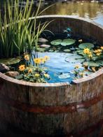 Minni vijvertje eiken kuipen, Ophalen, Nieuw, Overige typen