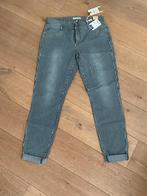 Red button sissy dames broek maat 42 Nieuw, Blauw, Maat 42/44 (L), Nieuw, Ophalen of Verzenden