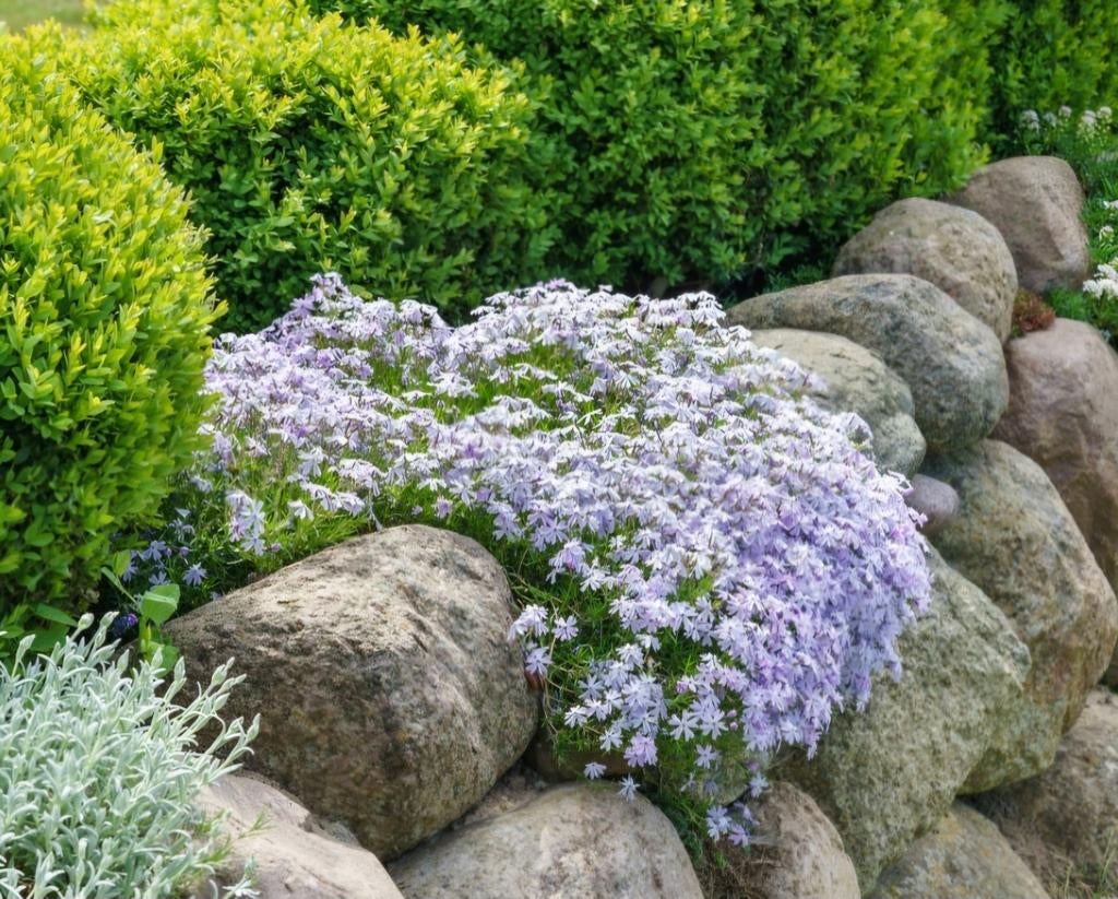 Gezocht: keien, Tuin en Terras, Grind, Keien en Split, Ophalen