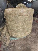 Voordroog kuil hooi voor paarden, Ophalen, Vee