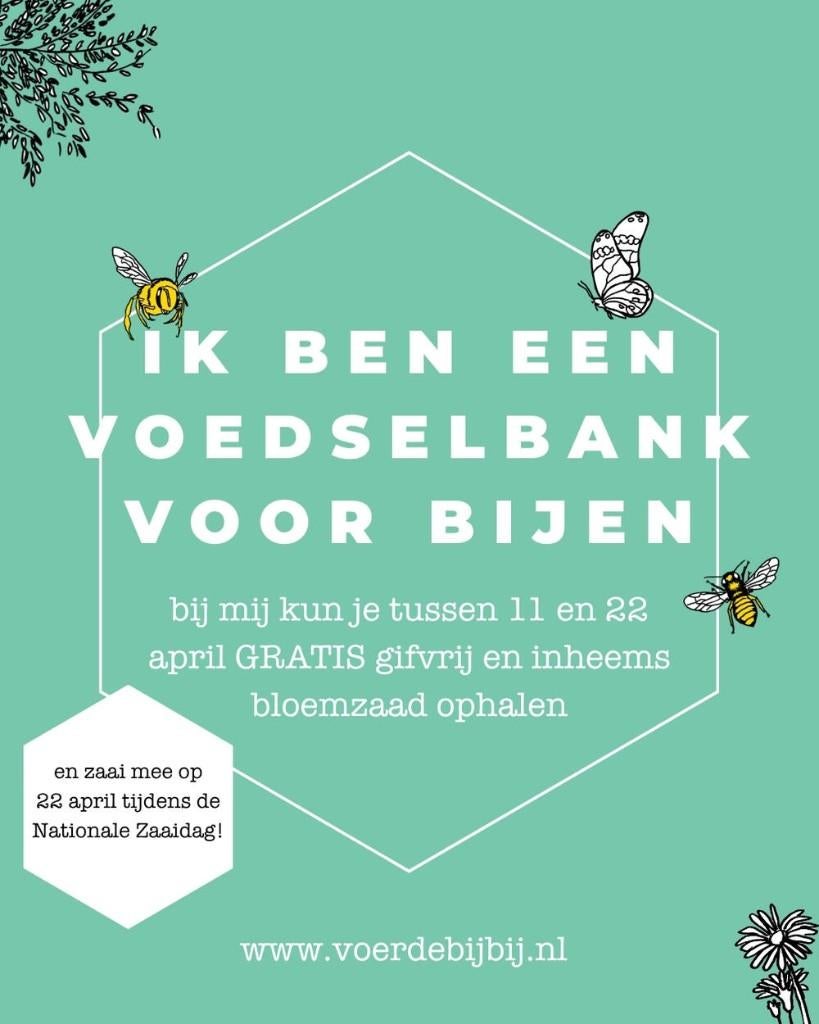 Gratis bloemzaden, Tuin en Terras, Bloembollen en Zaden, Ophalen, Voorjaar, Volle zon, Zaad