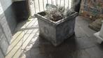 vierkante betonpot tuinpot, Tuin en Terras, Tuinvazen, Ophalen