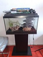 Compleet aquarium met onderstel, Ophalen