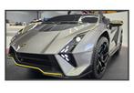 Collectie elektrische kinder Lamborghini accu auto 12 en 24v