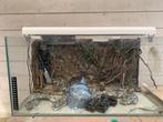 aquarium 60x30x30, Ophalen, Gebruikt, Leeg aquarium