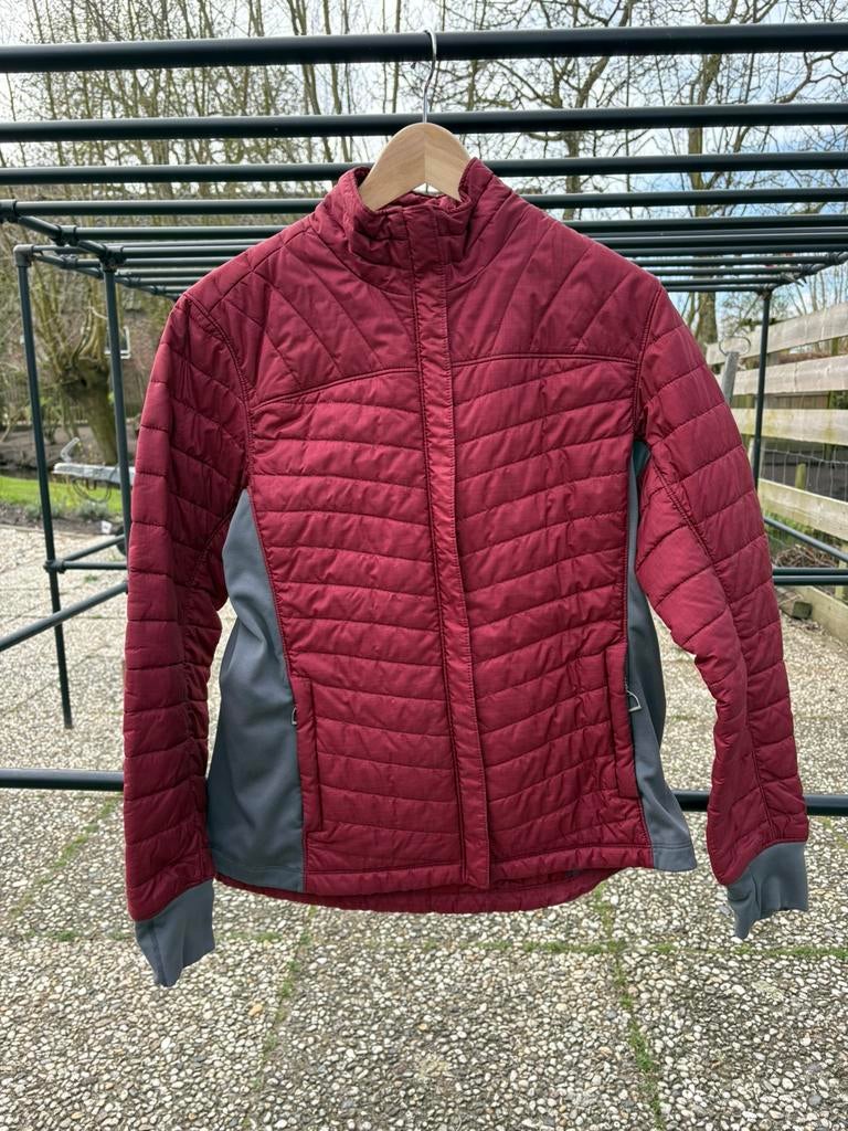 Ariat tussen jas maat M, Dieren en Toebehoren, Paardrijkleding, Ophalen of Verzenden, Zo goed als nieuw, Overige soorten, Bovenkleding